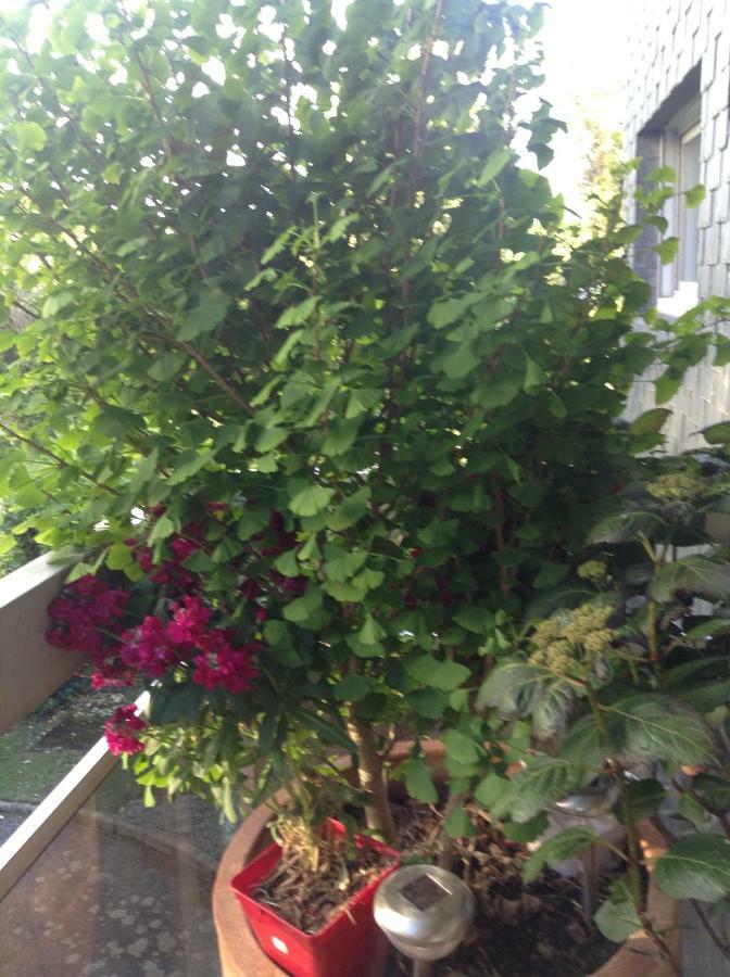 Appartement Monseigneur วานส์ ภายนอก รูปภาพ